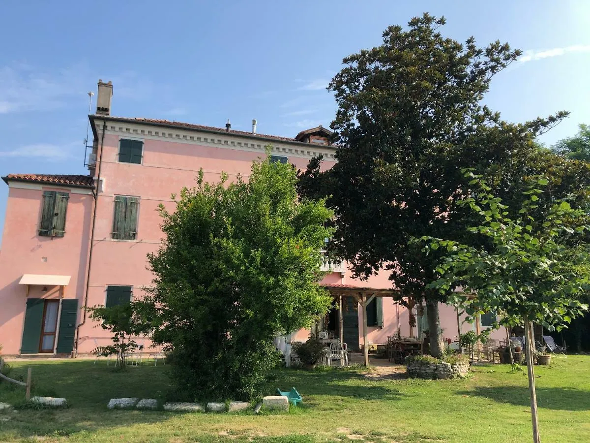 Pecore Ribelli Mira Italie
