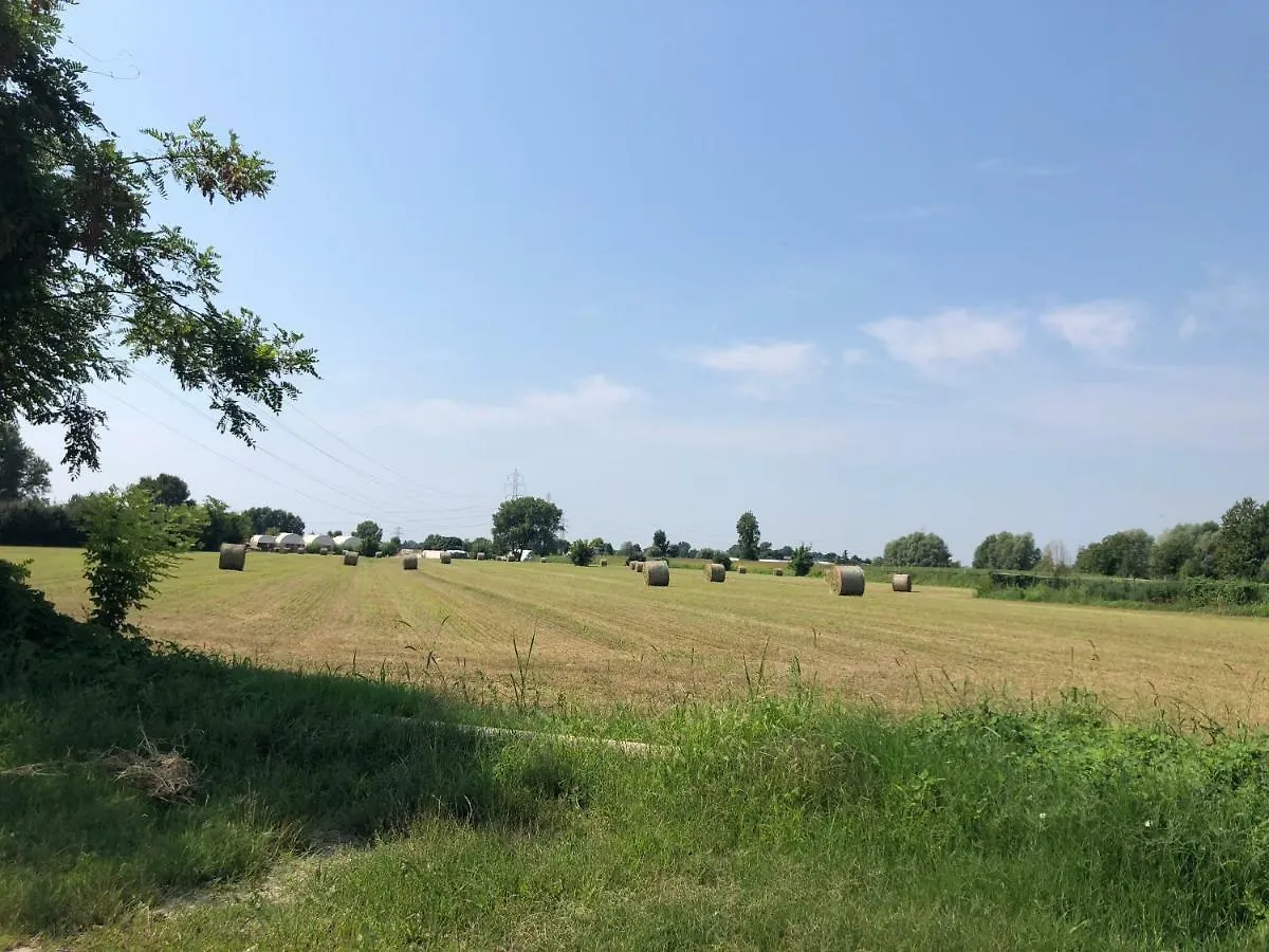 Pecore Ribelli Mira Séjour à la ferme