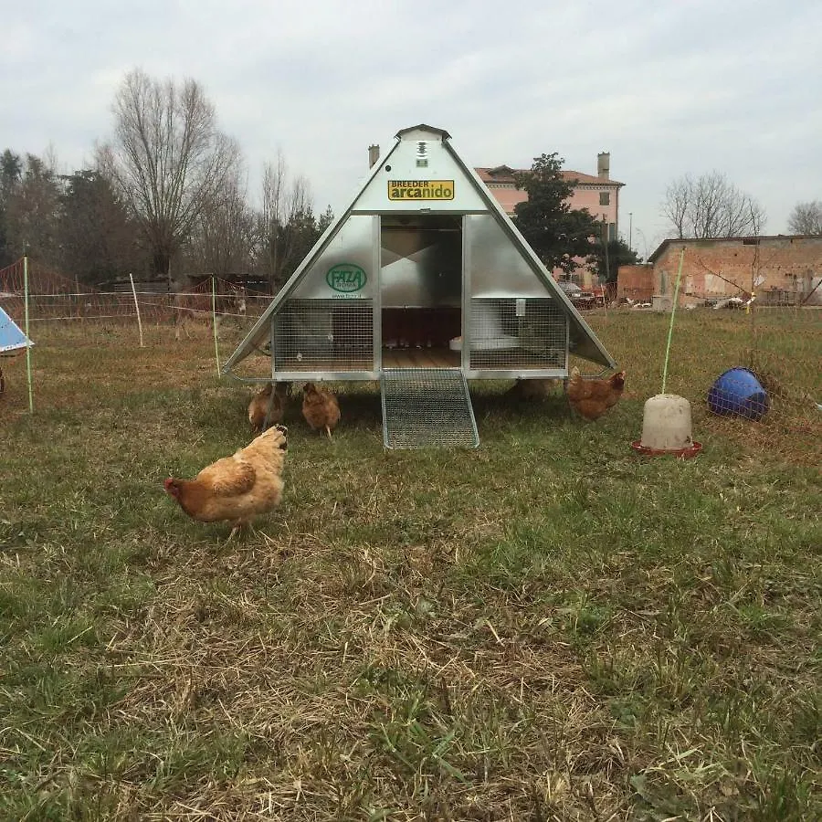 Pecore Ribelli Mira 0*,  Italy