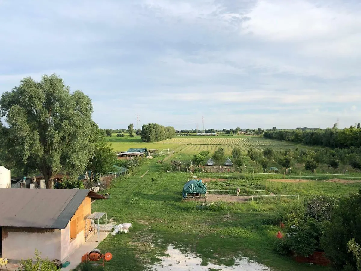 Pecore Ribelli Mira Italy