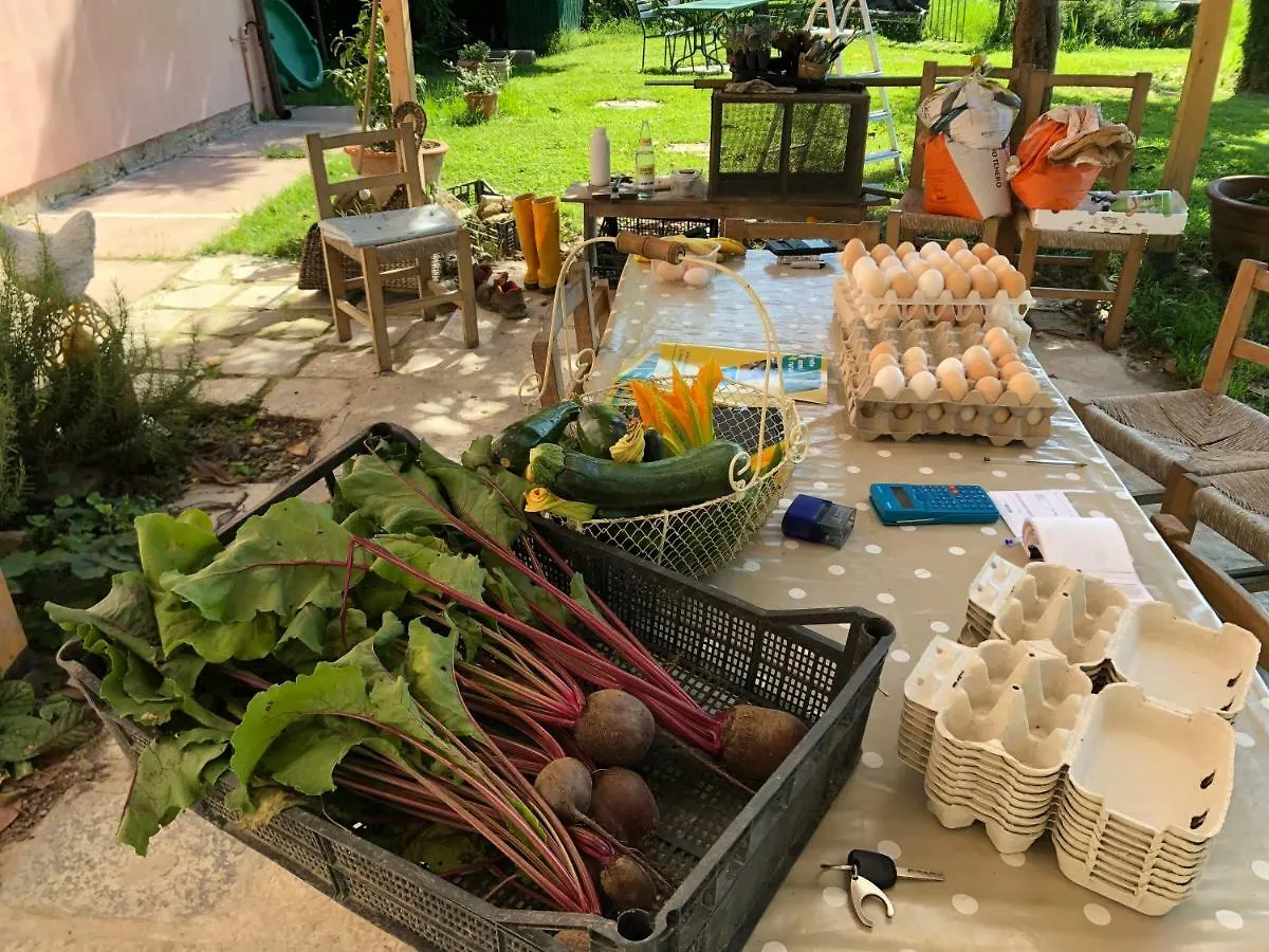 Farm stay Pecore Ribelli Mira Italy